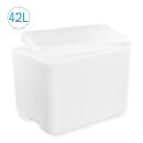 Thermobox Styrofoam box 42 liter cooler box shipping container for food, drinks, medication - Styrofoam made of EPS - reusable insulated box
