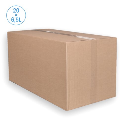 Thermobox Styroporbox 6,5 Liter Kühlbox Versandbehälter (20 Stück im Karton)