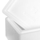 Thermobox Styrofoam box 7.3 liters cooling box shipping container (27 pieces per carton)