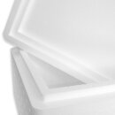 Thermobox Styrofoam box 11,4 liter cooling box shipping container for food, drinks, medication - Styrofoam made of EPS - reusable insulated box