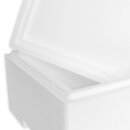 Thermobox Styrofoam box 14 liter cooling box shipping container for food, drinks, medication - Styrofoam made of EPS - reusable insulated box