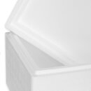 Thermobox Styrofoam box 17 liter cooling box shipping container for food, drinks, medication - Styrofoam made of EPS - reusable insulated box