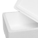 Thermobox Styrofoam box 10 liter cooler box shipping container for food, drinks, medication - Styrofoam made of EPS - reusable insulated box