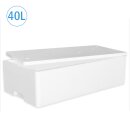 Thermobox Styrofoam box 40 liter cooling box shipping container for food, drinks, medication - Styrofoam made of EPS - reusable insulated box