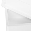 Thermobox Styrofoam box 40 liter cooler box shipping container for food, drinks, medication - Styrofoam made of EPS - reusable insulated box